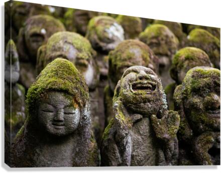 Show your Joy Canvas Print