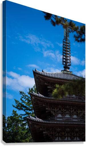 Five Story Survivor Canvas Print