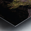 Into the Painted Cave Metal print