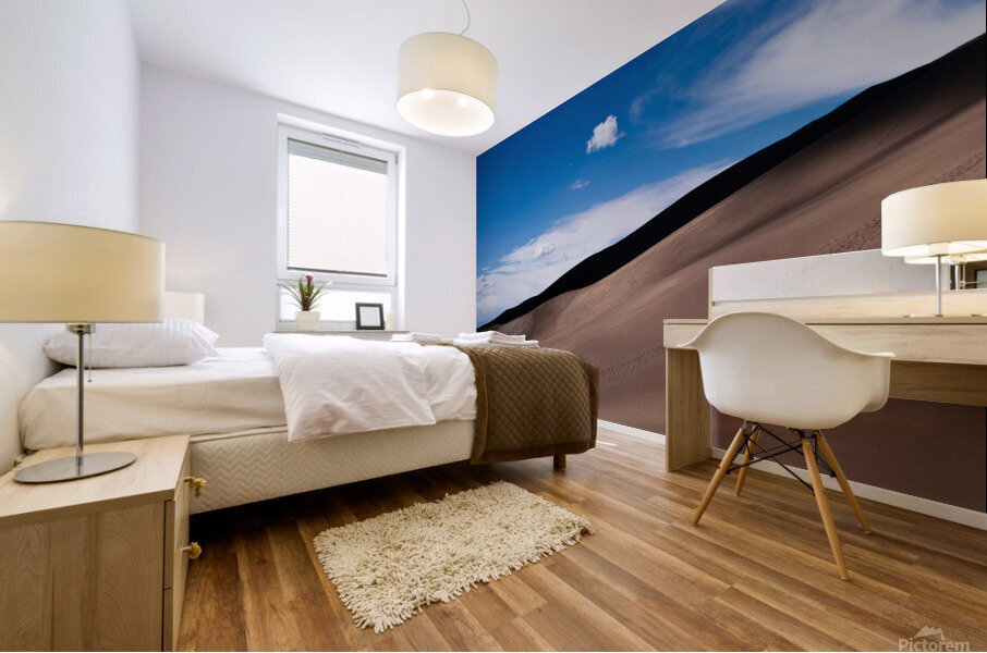 Curves Mural print