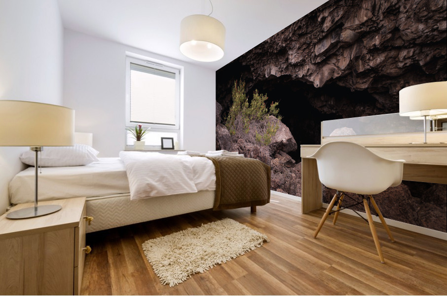 Into the Painted Cave Mural print