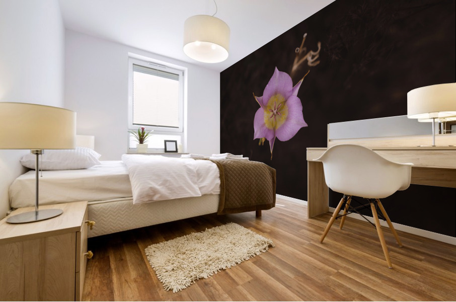 See the Eye Mural print