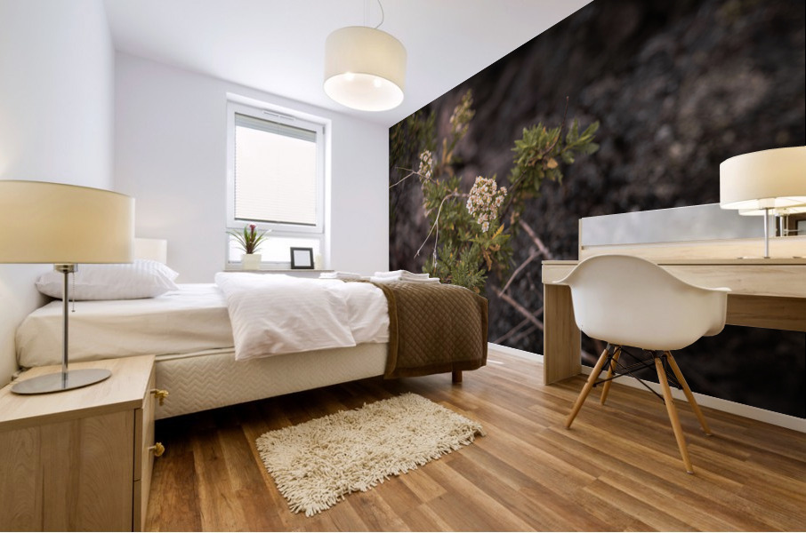 Yarrow Mural print
