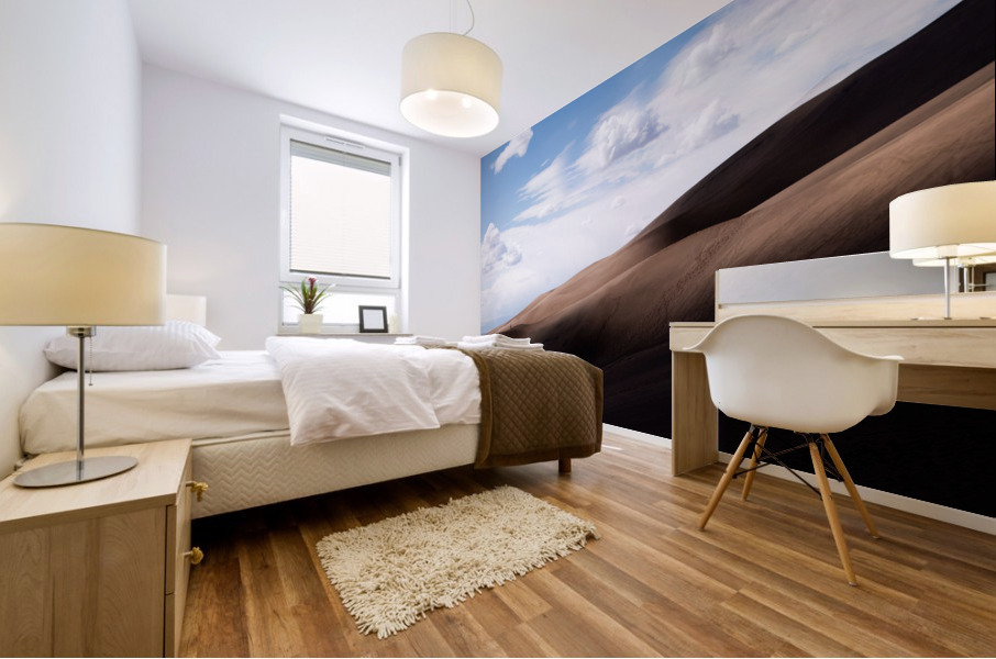 Ascent Mural print