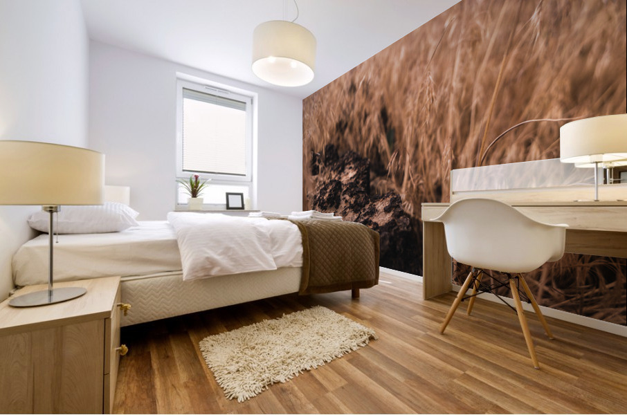 Natural Progression Mural print