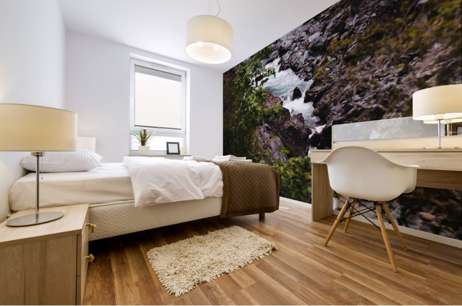 Along the Flume Mural print