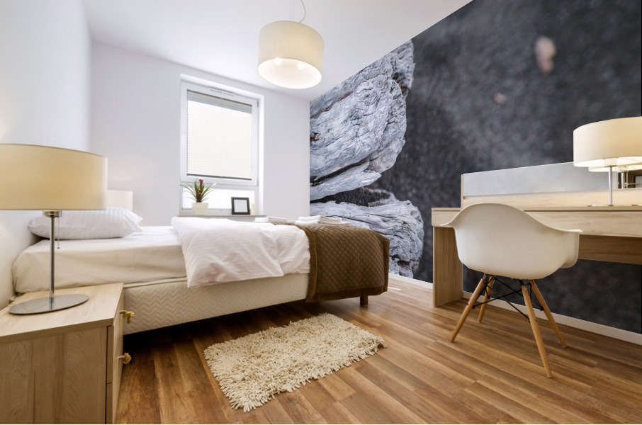 Drift-Log  Mural print