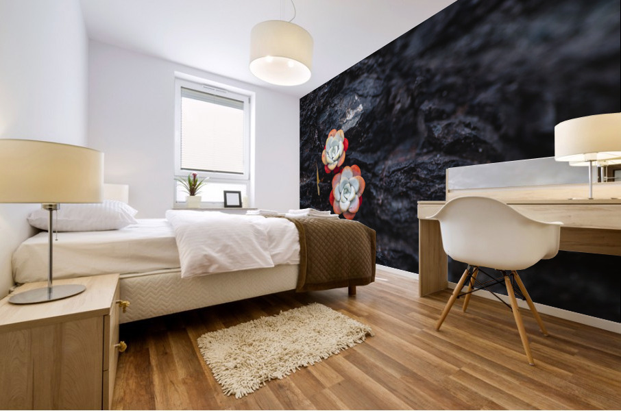Duo Mural print