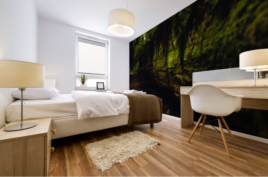Tree Wall Mural print