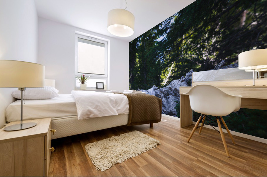Cedar Mural print