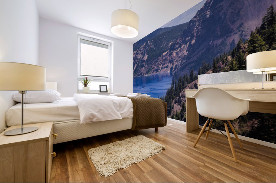 Craters Shore Mural print