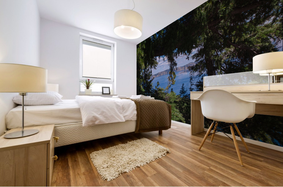 Window View Mural print