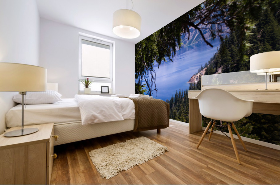 Framed  Mural print