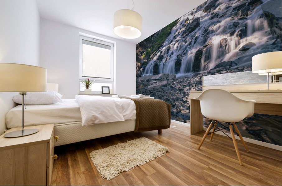 Vidae Mural print