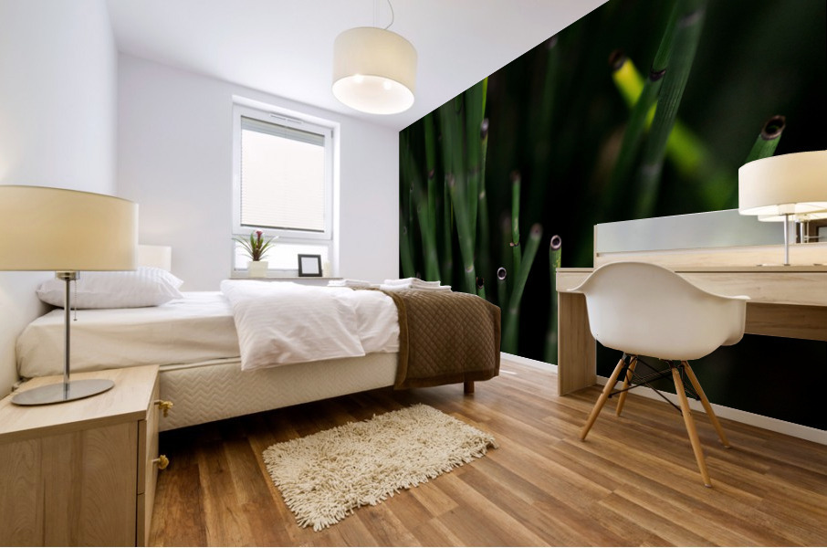 Horsetail Mural print