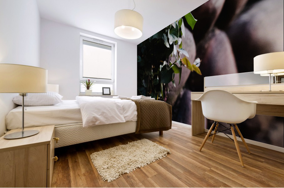 Finding the Crevices  Mural print