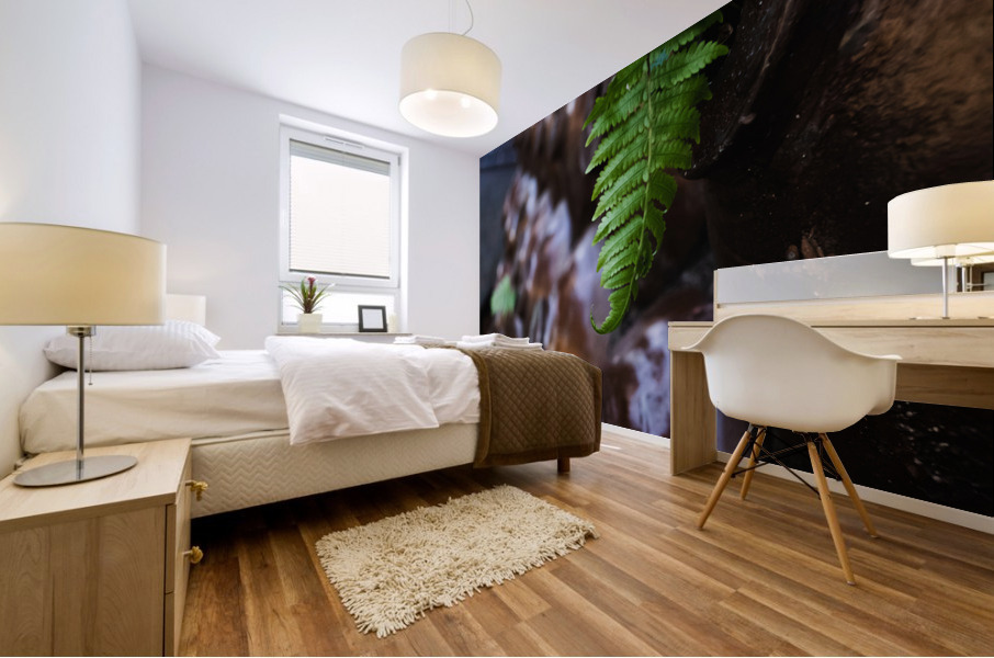 Ferns Mural print
