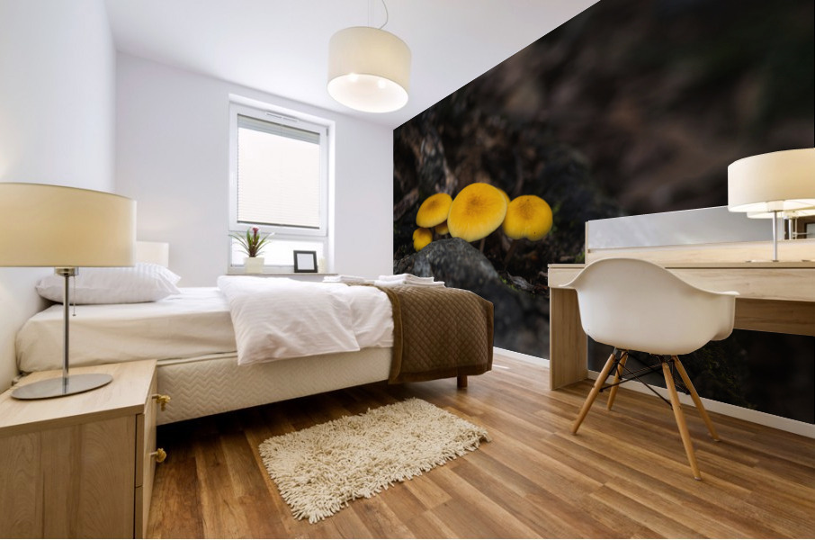 Yellow Delight Mural print
