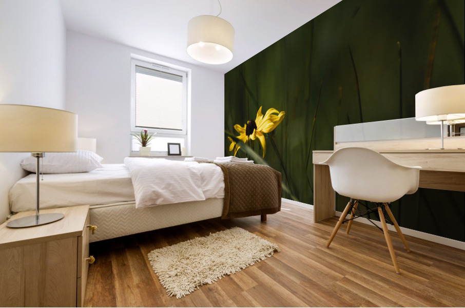 Rudbeckia Mural print