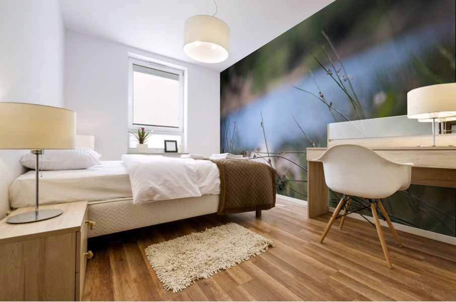 Lake View Mural print