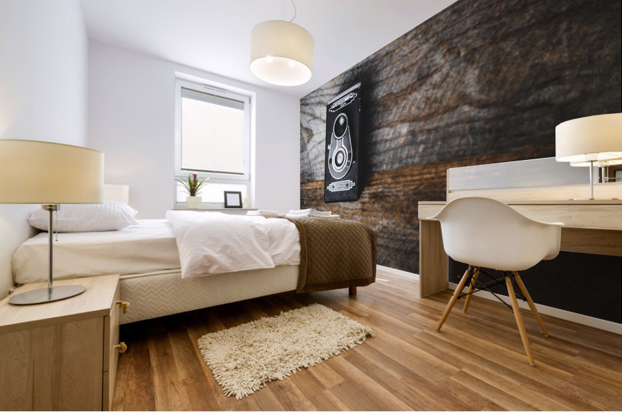 Classic Camera Mural print