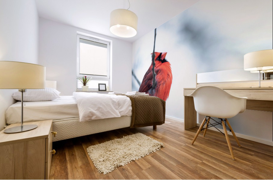 Wintering Cardinal  Mural print