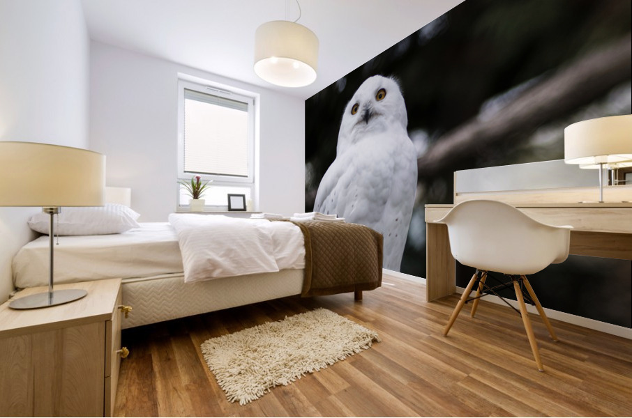 Snowy Owl Mural print
