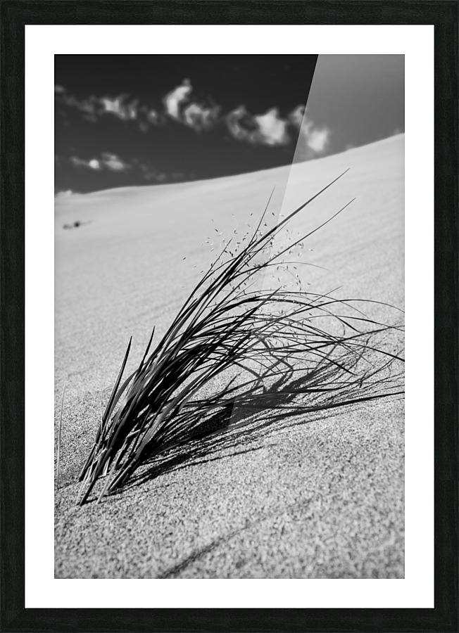 Resiliance Picture Frame print