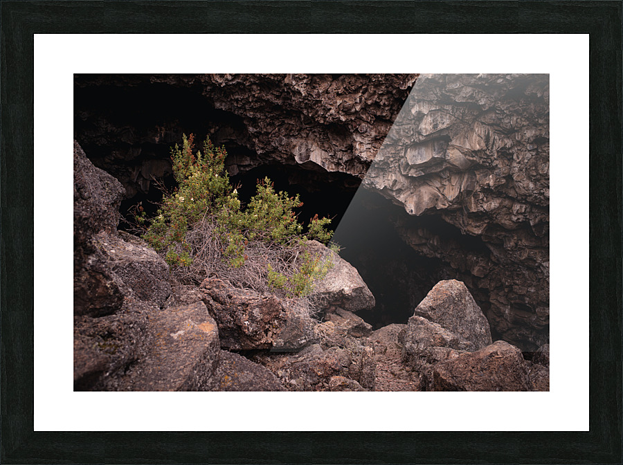 Into the Painted Cave Picture Frame print