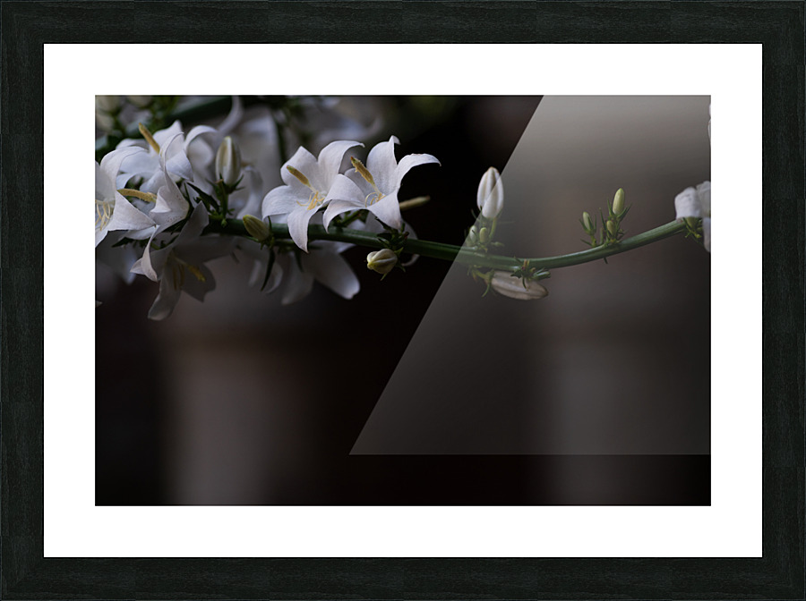 Waiting in White Picture Frame print