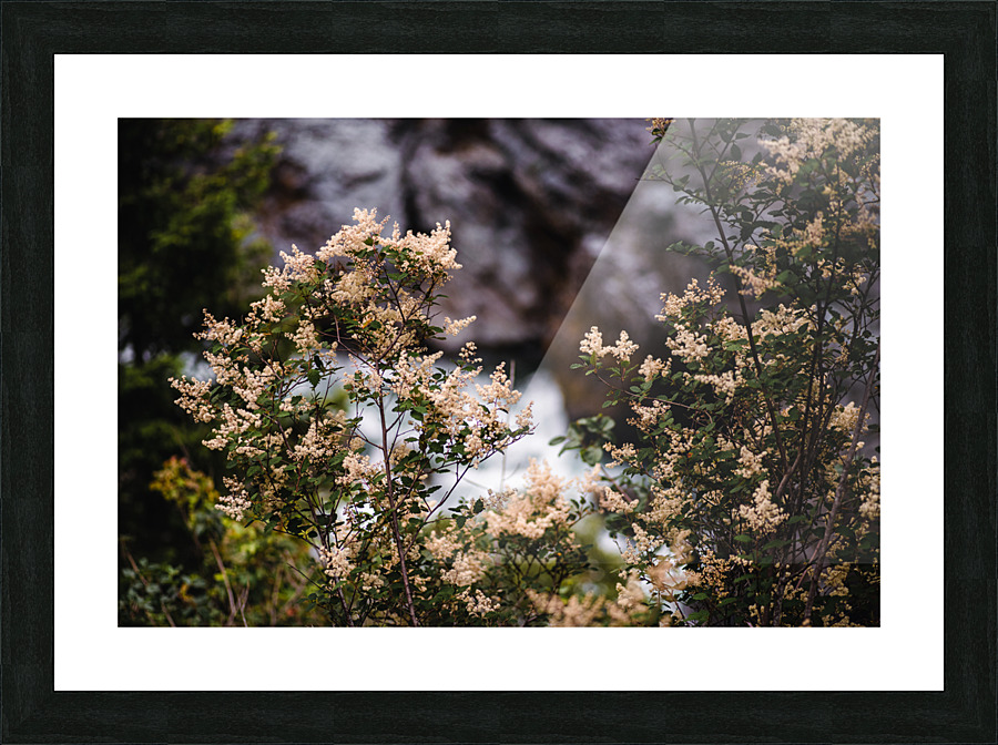 Above the Rapids Picture Frame print