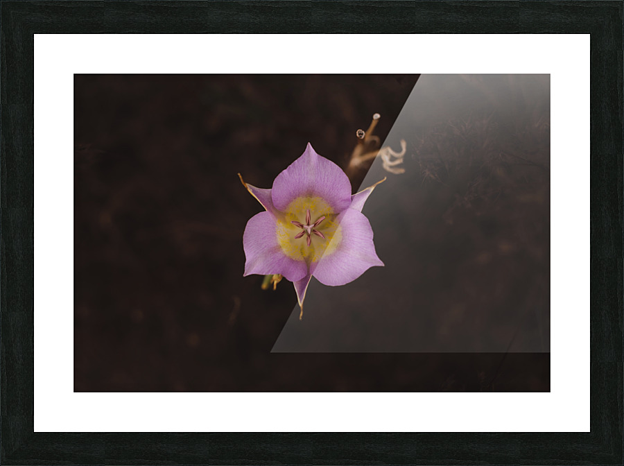 See the Eye Picture Frame print