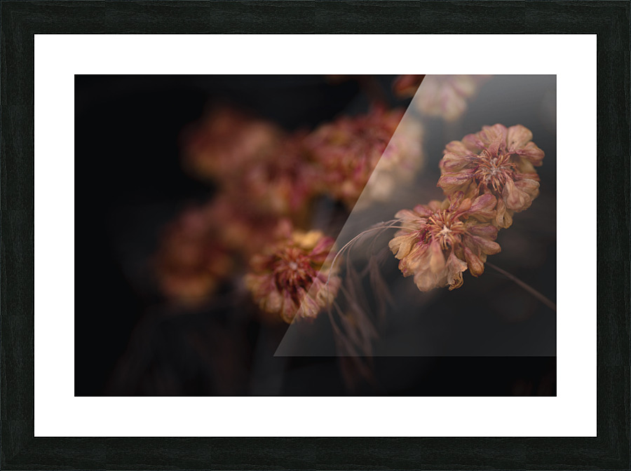 Small and Orange Picture Frame print