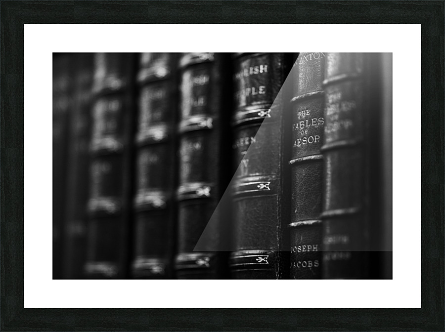 Aesop Picture Frame print