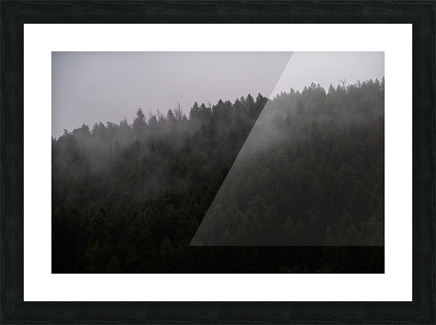 Coming Down Picture Frame print