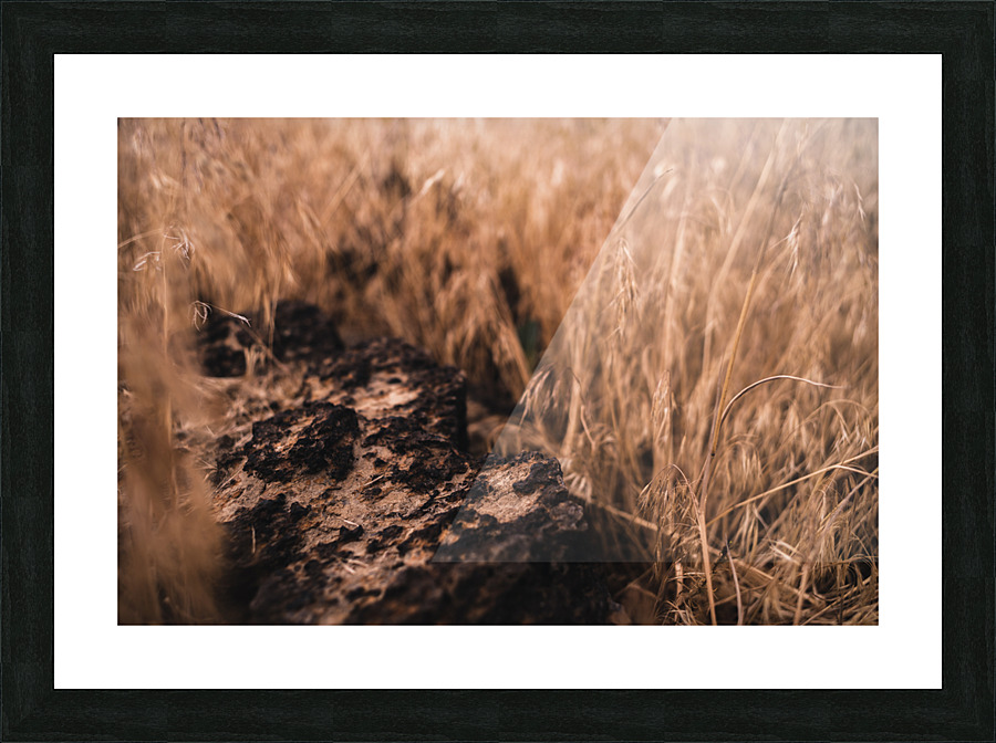 Natural Progression Picture Frame print