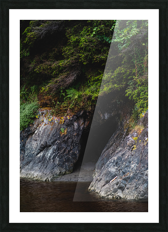 Natures Alcove Picture Frame print