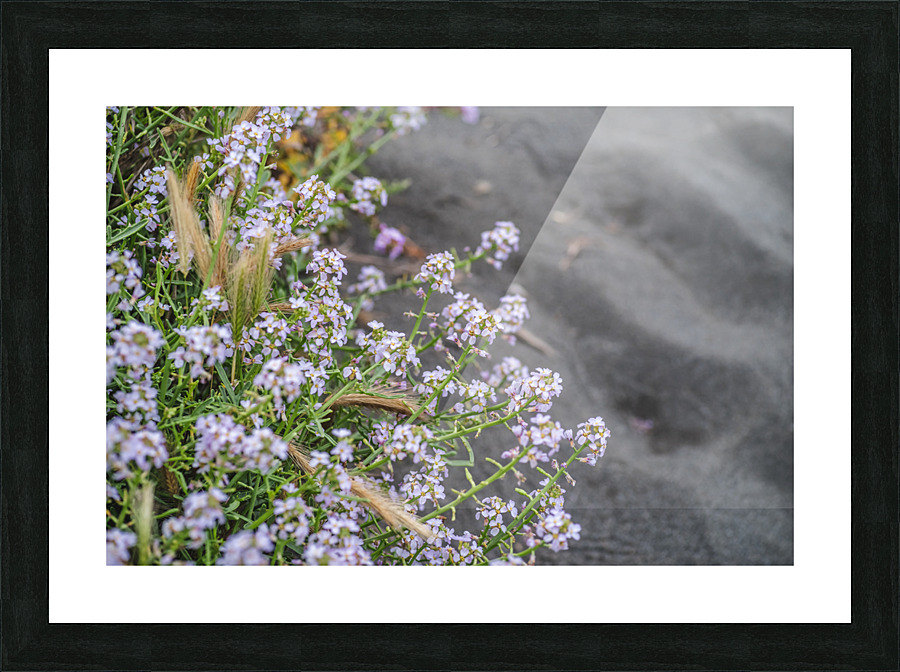 Pastel Beaches Picture Frame print