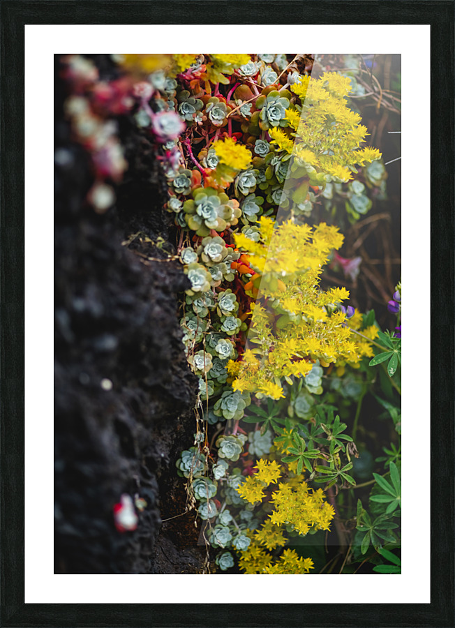 Two Tone Picture Frame print