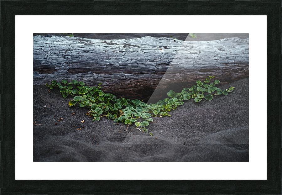 Under the Drift Picture Frame print