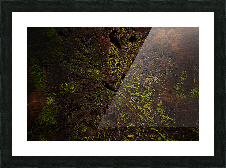 Crosscut Picture Frame print
