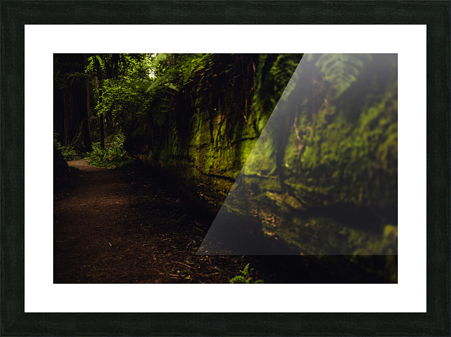 Tree Wall Picture Frame print