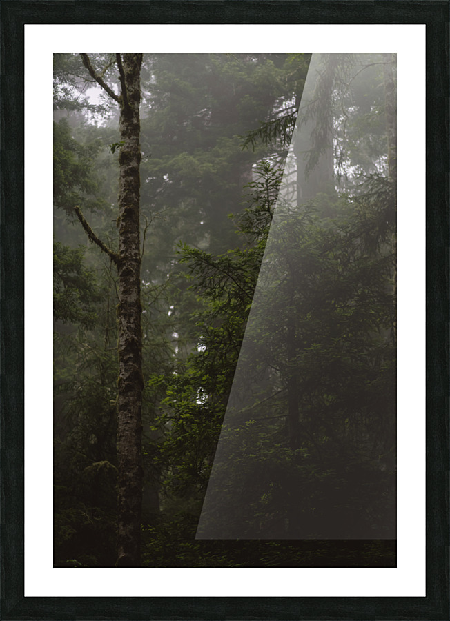 Misty Picture Frame print