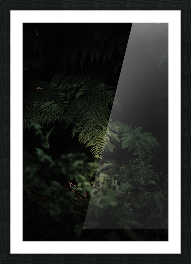 Fern Picture Frame print