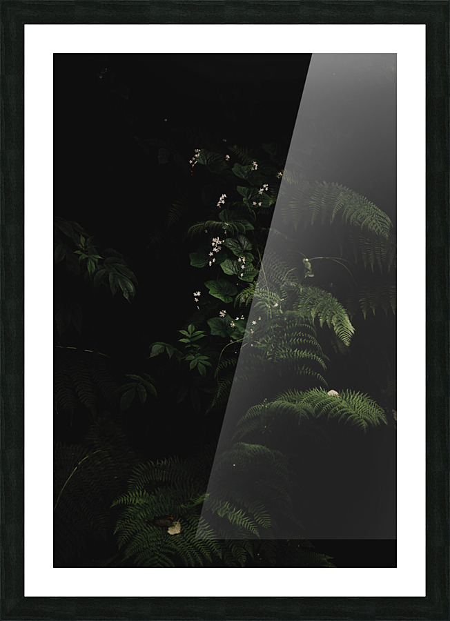 Cascade Picture Frame print