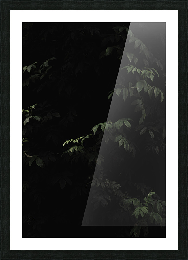 Darkened Picture Frame print