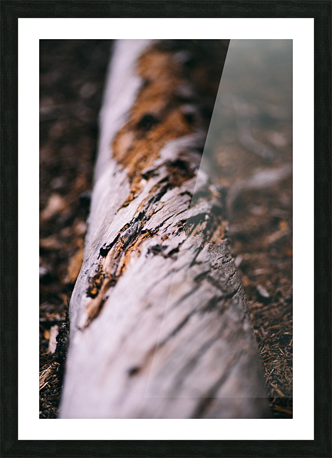 Twist Picture Frame print
