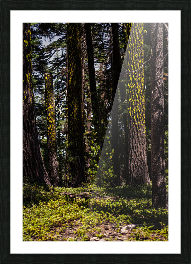 Cover Picture Frame print