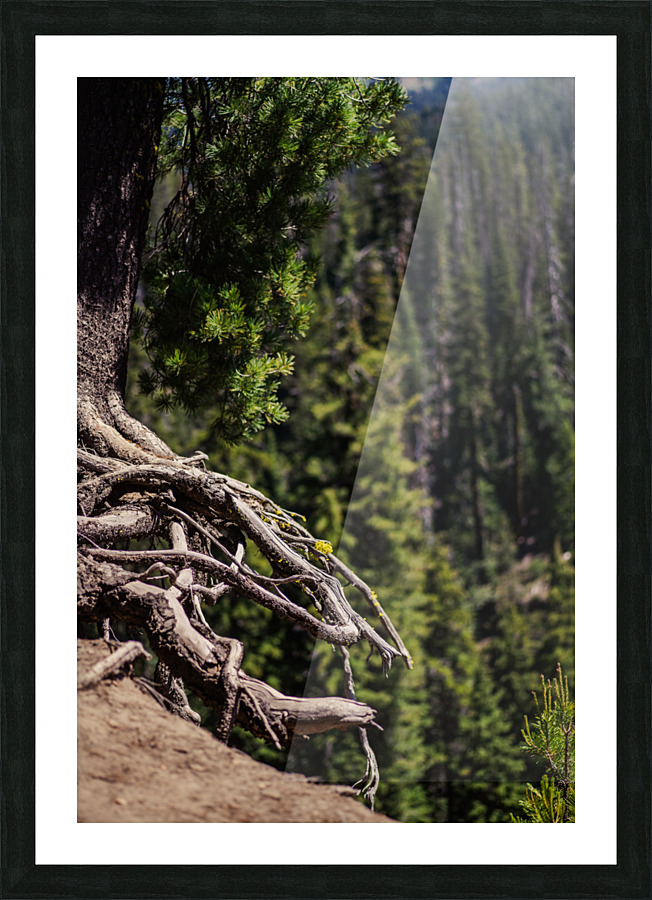 Over the Edge Picture Frame print