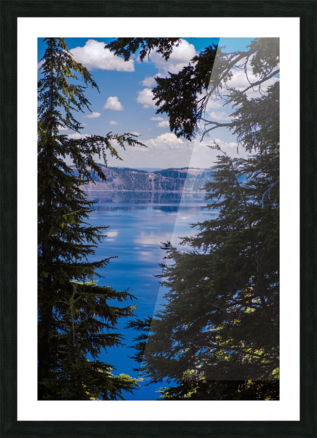 Between the Firs Picture Frame print